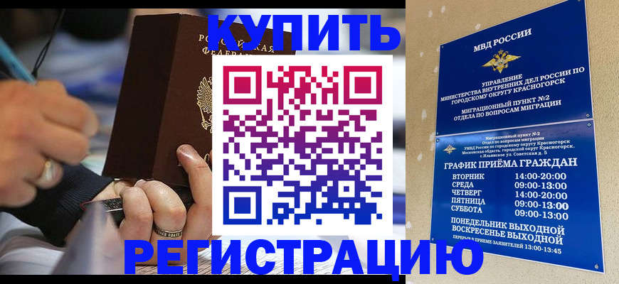 временная регистрация 2025 в Фрязино